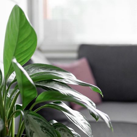 Apartma Vrtnica 5Th Floor Nova Gorica Buitenkant foto