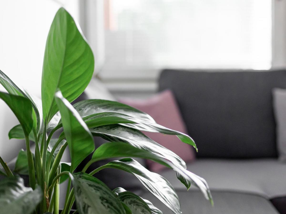 Apartma Vrtnica 5Th Floor Nova Gorica Buitenkant foto